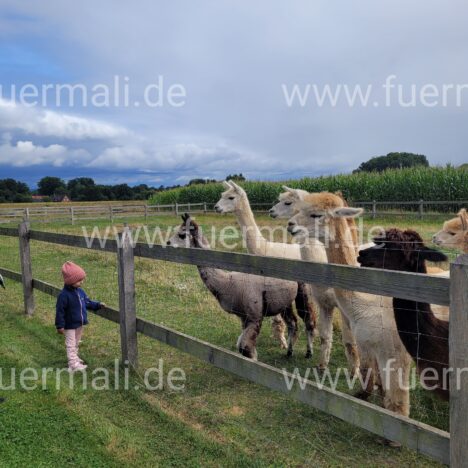 Ein bisschen kaputt, aber gut repariert