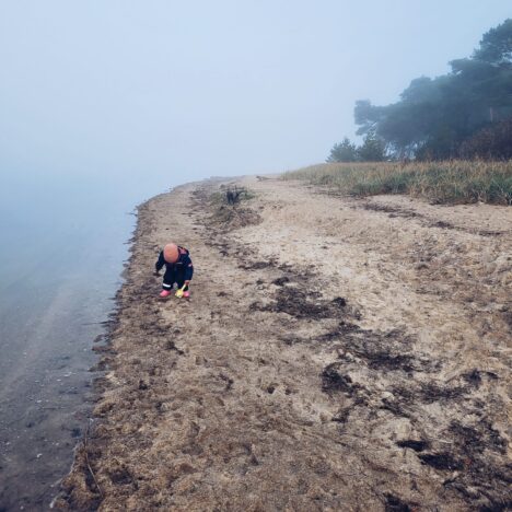 Ein kleines Lebenszeichen von uns